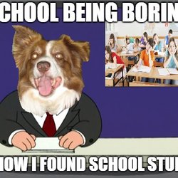 James Song, MD - Excel care medical group - Dr.Song reminds me of this meme. heeheehee.