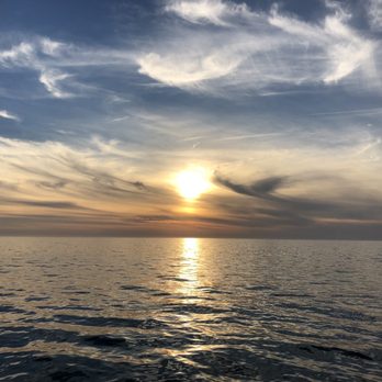 Parrotdise Express - Boat Charters Near Me - Dunedin, Florida