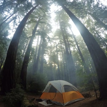 Ventana Campground - Morning fog above our tent, site 44. Recommended
Aug 2015 - Campgrounds Near Me - Big Sur, California Ventana Campground - Morning fog above our tent, site 44. Recommended
Aug 2015 - Campgrounds Near Me - Big Sur, California