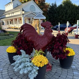 Roosters throughout the property