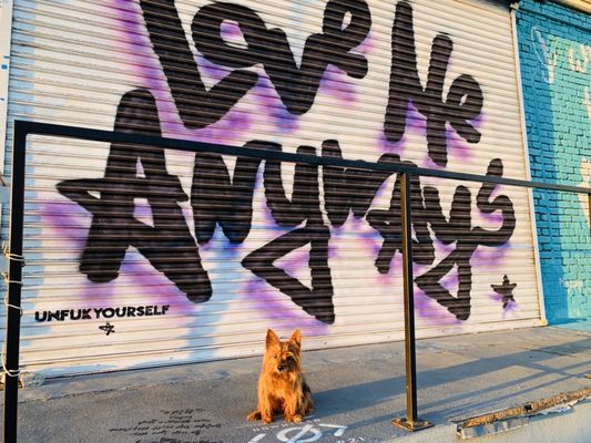 North Figueroa Animal Hospital Temp Closed Updated Covid 19 Hours Services 162 Photos 455 Reviews Veterinarians 5550 N Figueroa St Highland Park Los Angeles Ca Phone Number Yelp