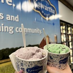 Blueberry x Mint