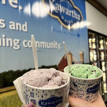 Kawartha Dairy - Blueberry x Mint - Ice Cream & Frozen Yogurt Near Me - Newmarket, Ontario
