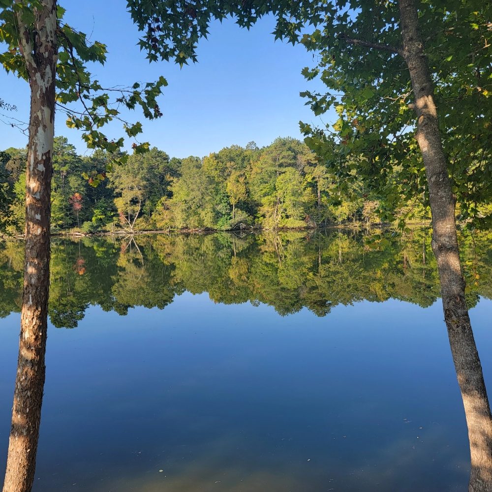 RIVER’S EDGE AT CLEARWATER POINT 10 Photos 183 River Mill Ct, Hot