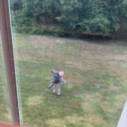 4 Pest Control