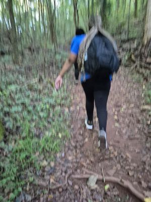 Ruffner Mountain by null