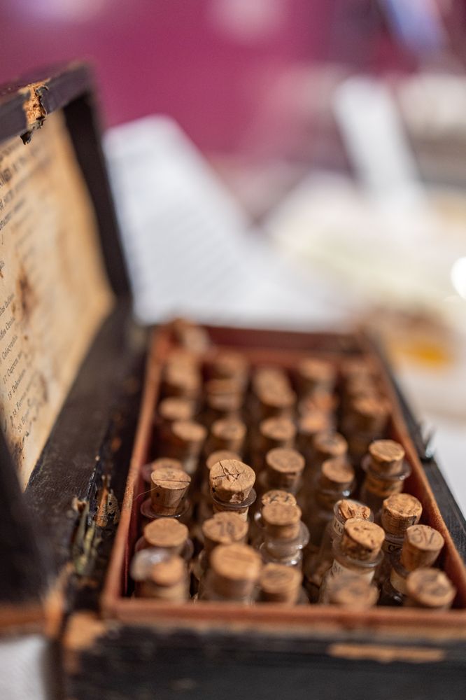 Maine Historical Society & Wadsworth-Longfellow House