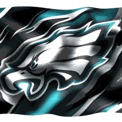 Conestoga Custom Cleaners - Go Birds ~~