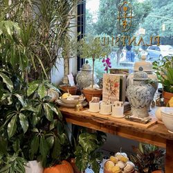 PlantShed New York Flowers