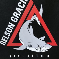 Relson Gracie Jiu-Jitsu Academy Connecticut