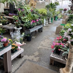 The Botanical Emporium Florist & Greenhouse - Greenhouse