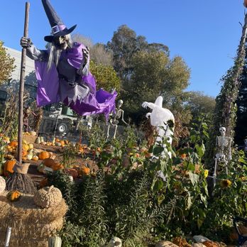 Post Street Farm - Pumpkin Patches Near Me - Santa Cruz, California