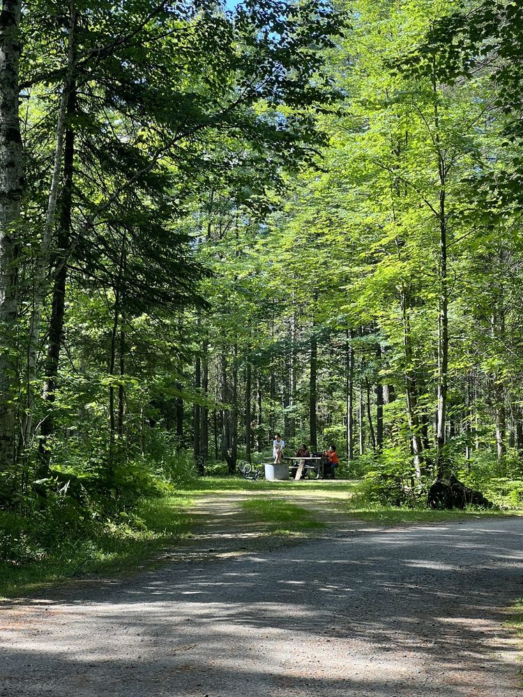 CARP RIVER CAMPGROUND Updated September 2024 N 4664 Mackinac Trl