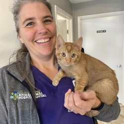 Newberry Animal Hospital