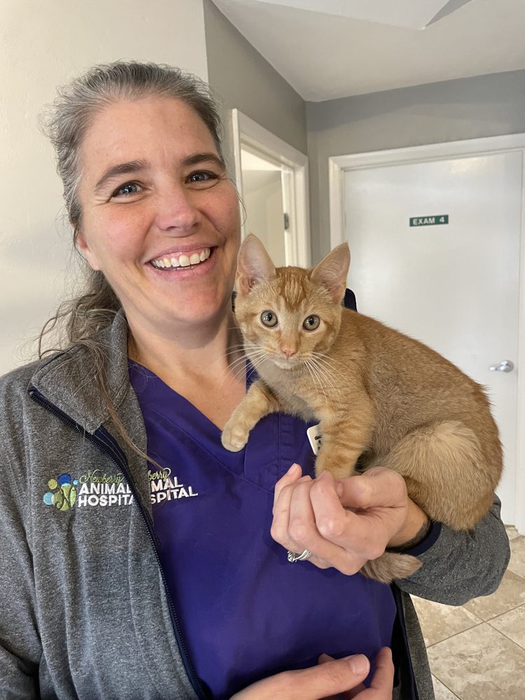Newberry Animal Hospital Image