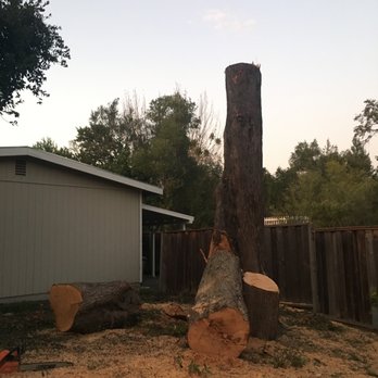 CBC Tree Services Inc - Tree Services Near Me CBC Tree Services Inc - Tree Services Near Me