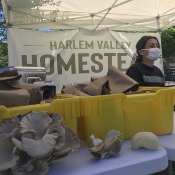 Harlem Valley Homestead - Pawling Farmers Marker extension! - Farmers Market Near Me - Wingdale, New York Harlem Valley Homestead - Pawling Farmers Marker extension! - Farmers Market Near Me - Wingdale, New York