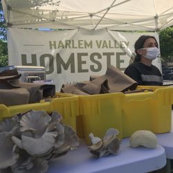Harlem Valley Homestead - Pawling Farmers Marker extension!