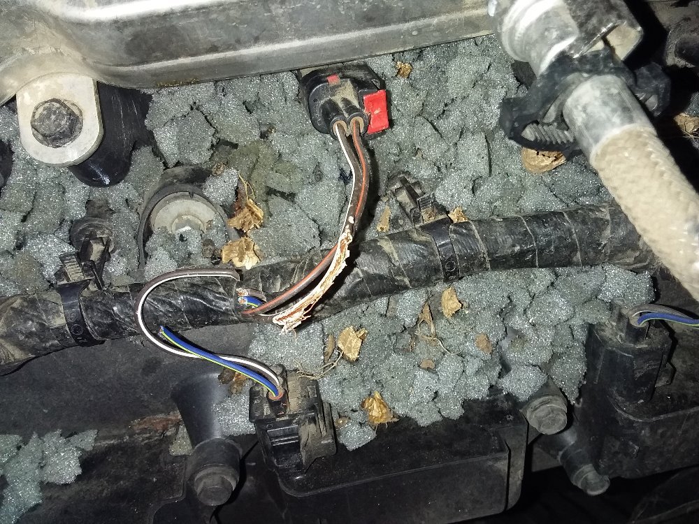 GUFFIE DOYLE RALLYE AUTO SALES Updated August 2024 11 Reviews