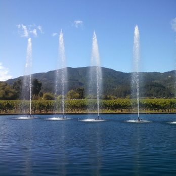 Alpha Omega - Wineries Near Me - Saint Helena, California Alpha Omega - Wineries Near Me - Saint Helena, California