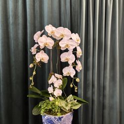 Bloomwoods Flowers & Gifts - We love creating orchid comps