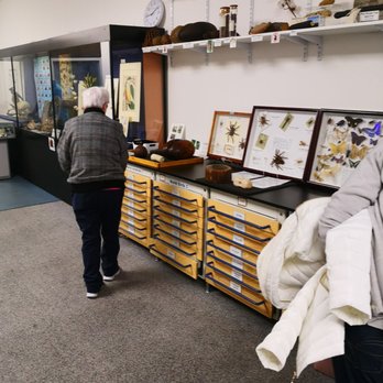 World Museum - Museums Near Me - Liverpool, XMS