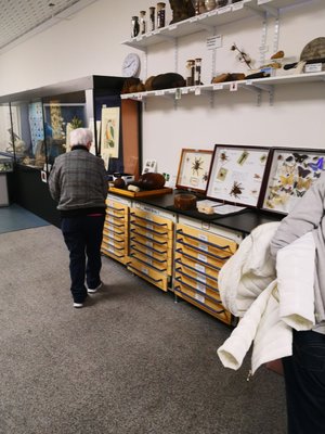 World Museum by null