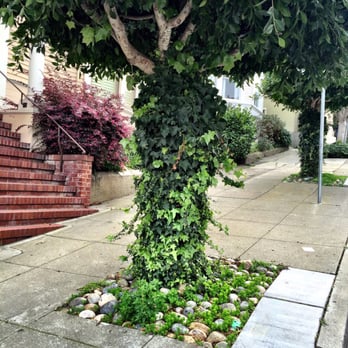 Mrs. Doubtfire House - Local Flavor Near Me - San Francisco, California Mrs. Doubtfire House - Local Flavor Near Me - San Francisco, California