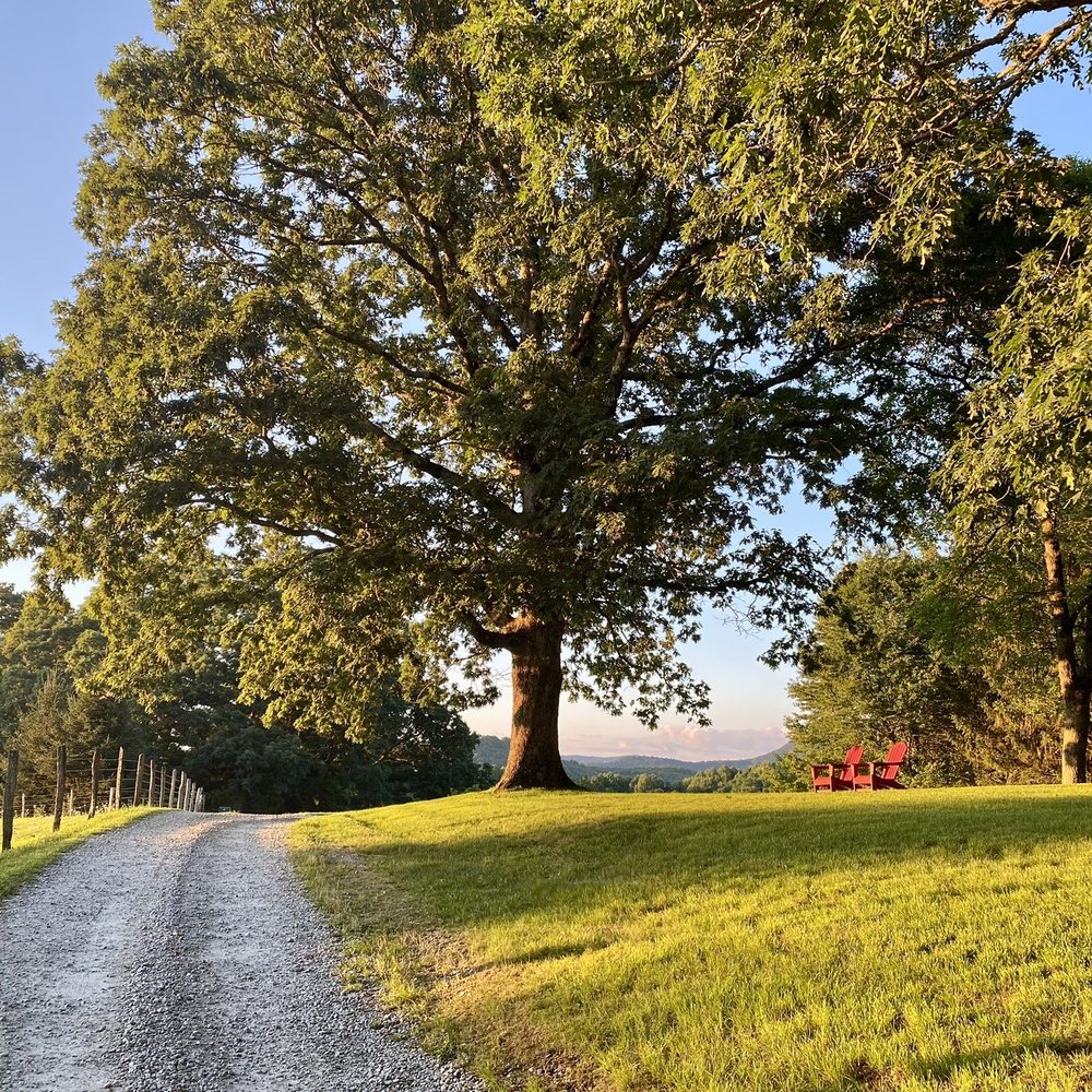 Fire Mountain Resort & Spa - Grounds - Vacation Rentals Near Me - Highlands, North Carolina Fire Mountain Resort & Spa - Grounds - Vacation Rentals Near Me - Highlands, North Carolina