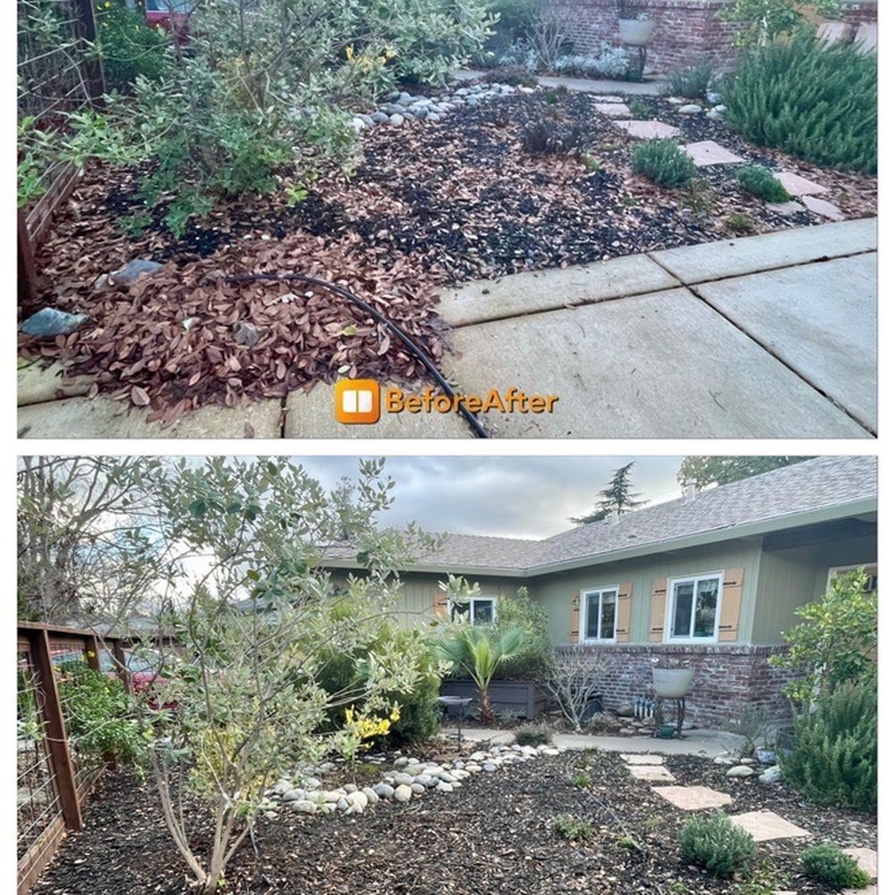 Harry's Landscaping and Maintenance - Yard work, before & after. - Landscaping Near Me - Sacramento, California