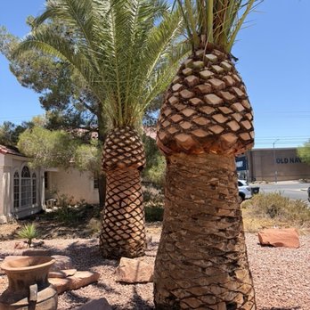 Express Landscapes - Landscaping Near Me - Las Vegas, Nevada