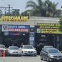 Photo of European One Auto Repair