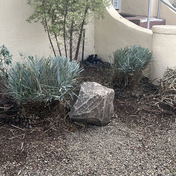 McDonald's - a large rock in a garden - Fast Food Near Me - Oakland, California McDonald's - a large rock in a garden - Fast Food Near Me - Oakland, California