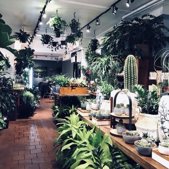 PlantShed - Inside - Florists Near Me - New York, New York PlantShed - Inside - Florists Near Me - New York, New York
