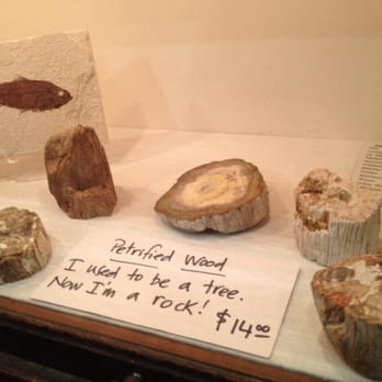 Yankee Ingenuity - Art Galleries Near Me - Chatham, Massachusetts