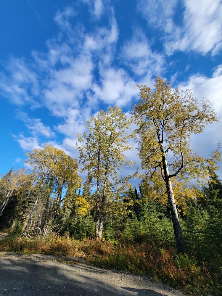 BLUEBIRD CAMPGROUND Updated August 2024 19 Photos 28390