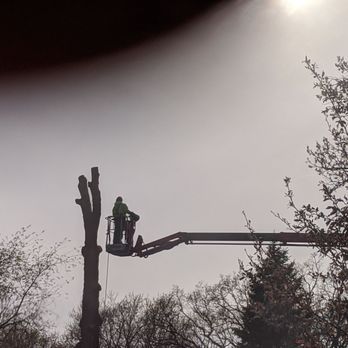 Mid-West Tree Service - Lift equipment and chainsaw taking down our dead tree in pieces. - Landscaping Near Me - Wauconda, Illinois