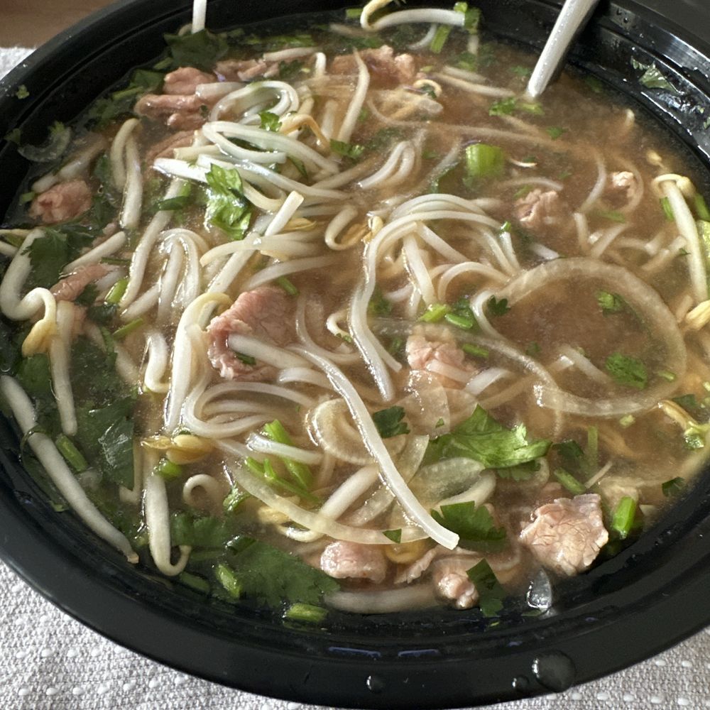 rare steak pho large