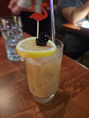 Gato Exotico by null