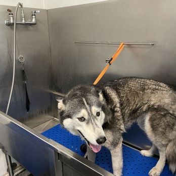 Incredible Pets - Pet Stores Near Me - Sacramento, California Incredible Pets - Pet Stores Near Me - Sacramento, California