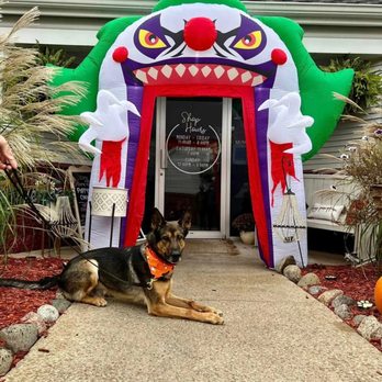 Puppyworld - Pet Breeders Near Me - Franklin, Wisconsin