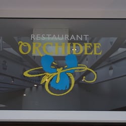 Orchidee