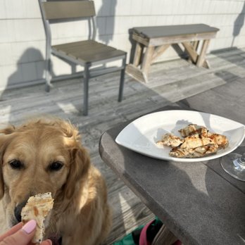 Aqua Restaurant - Dog friendly - Seafood Near Me - Duck, North Carolina Aqua Restaurant - Dog friendly - Seafood Near Me - Duck, North Carolina