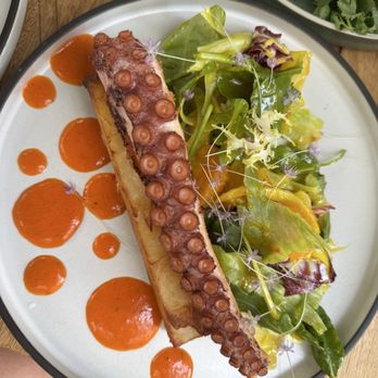 All You Need - Octopus - Breakfast & Brunch Near Me - Miami, Florida All You Need - Octopus - Breakfast & Brunch Near Me - Miami, Florida