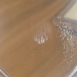 OPTX Optometry - Close up of brushed markings
