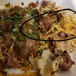 Birria