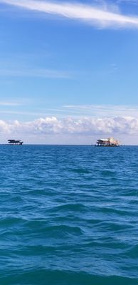 Ocean Force Adventures by null