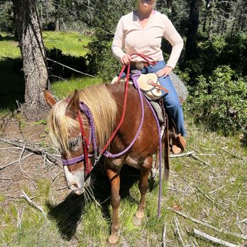 Roadrunner Tours - Sundance and me!  He did great! - Tours Near Me - Angel Fire, New Mexico