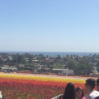 The Flower Fields - See the ocean? - Venues & Event Spaces Near Me - Carlsbad, California