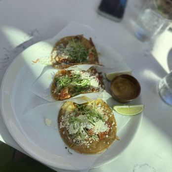 Coco Maya - Caribbean Near Me - San Diego, California
